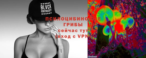 apvp Киреевск