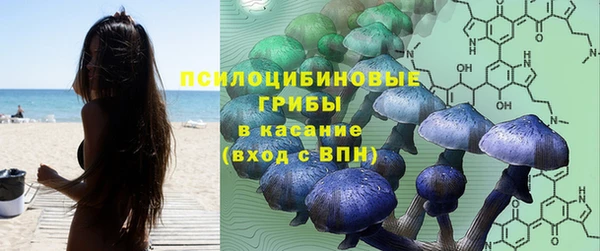 гидропоника Козловка
