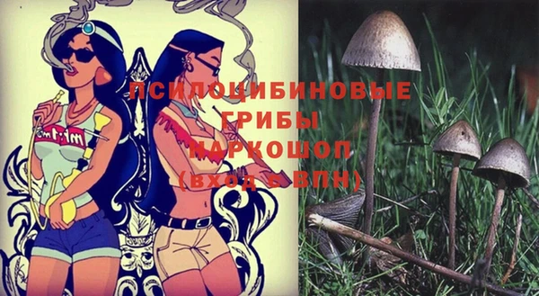 винт Киренск