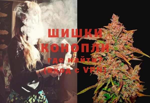 spice Кинешма