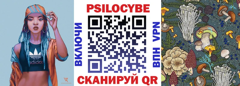 Купить  Шали  Псилоцибиновые грибы Psilocybine cubensis 